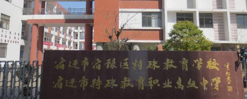 特殊教育学校是什么意思（特殊教育学校是指哪些学校）