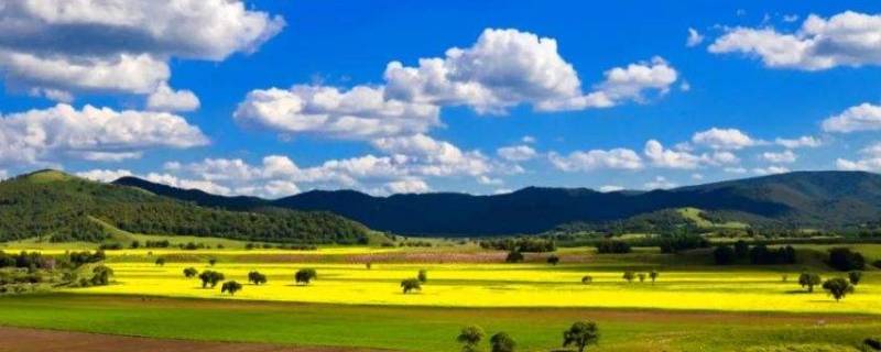 一望无际彩色的世界是什么歌 一望无际,彩色的世界是什么歌