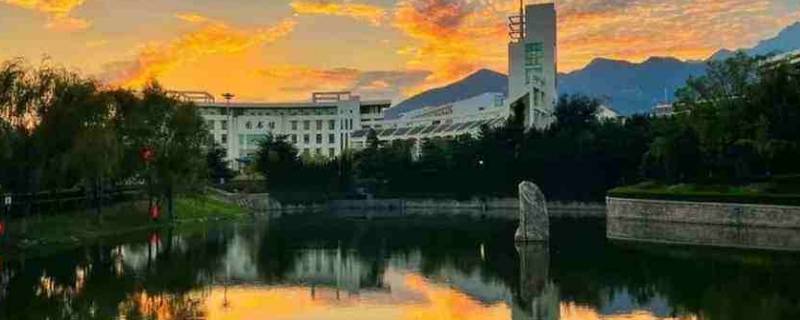 泰山职业技术学院怎么样（泰山职业技术学院怎么样好不好）