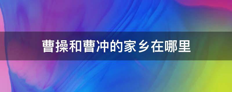 曹操和曹冲的家乡在哪里 曹冲是曹操的什么关系