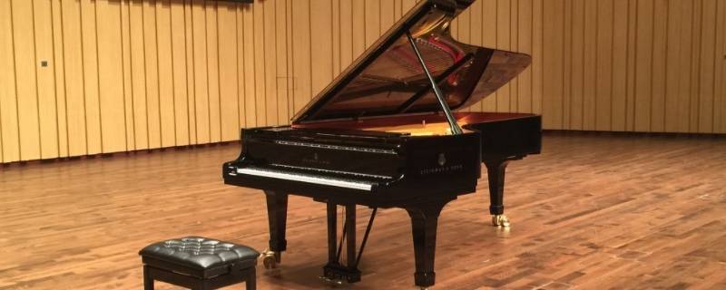 为什么钢琴界不承认maksim（钢琴家为什么）