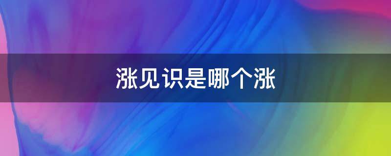 涨见识是哪个涨 长见识和涨见识有啥区别