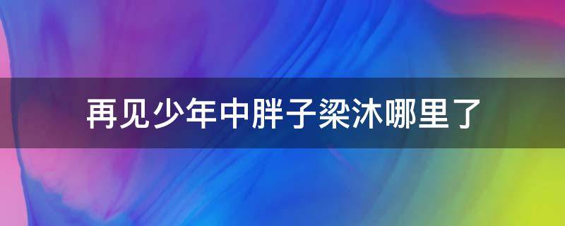 再见少年中胖子梁沐哪里了 再见少年里梁沐去哪了