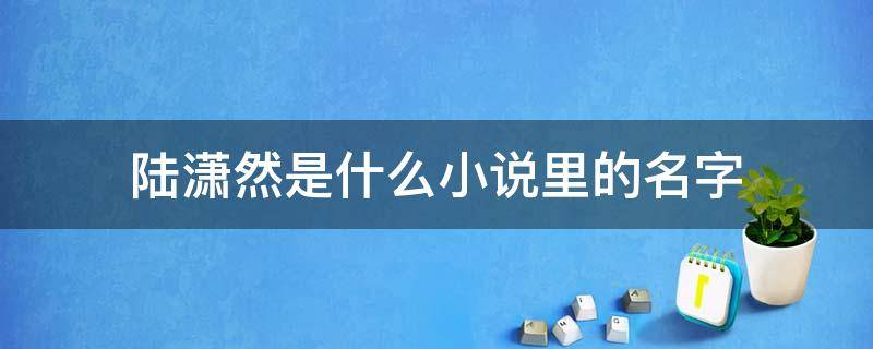 陆潇然是什么小说里的名字（主角名字叫陆潇云的小说）