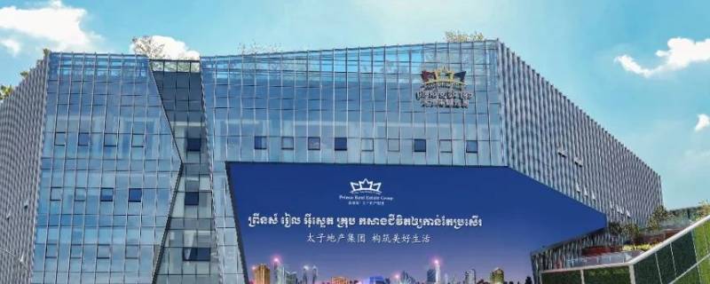 福建太子岁集团董事长是谁（福建太子岁集团老板）