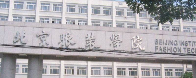 杨笠毕业于哪所大学（杨笠和大学教授）