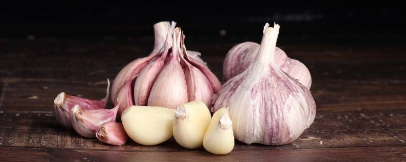 面条就蒜下一句(一口面条一口蒜)