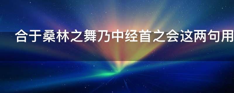 合于桑林之舞乃中经首之会这两句用了什么修辞手法