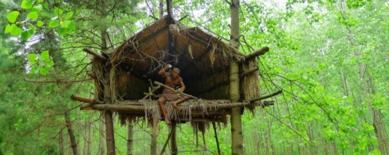 有巢氏构木为巢下一句是什么(构木为巢的说法出自)