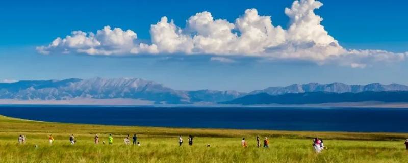 新疆为什么缺柴油（乌鲁木齐缺柴油）