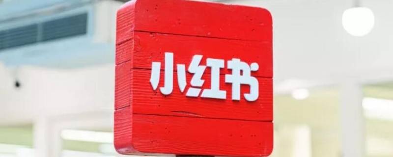 小红书作者叫什么（小红书全名叫什么）