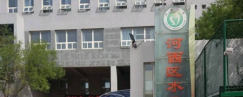 河西水晶小学是重点吗（河西水晶小学划片）
