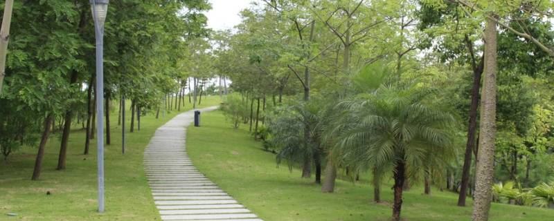 北川河湿地公园要门票吗 北川河湿地公园门票每人多少钱?