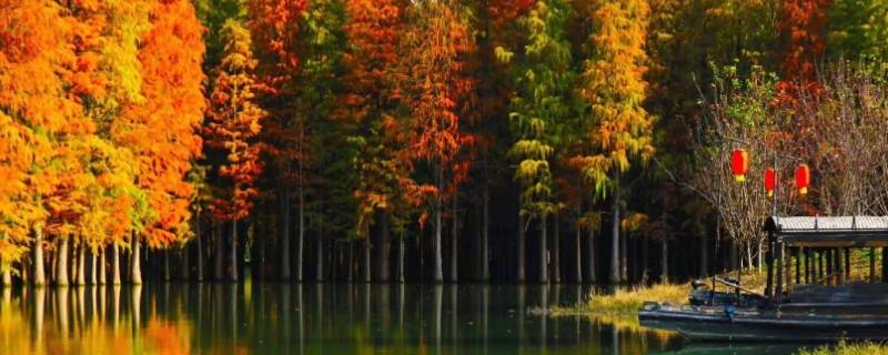 仙桃梦里水乡最佳旅游时间 仙桃梦里水乡旅游攻略