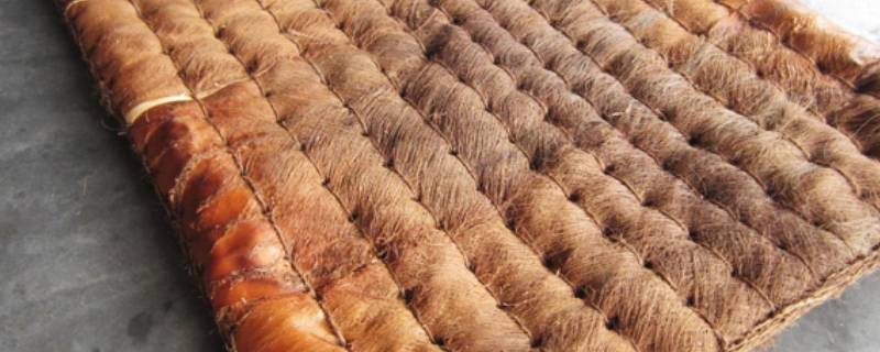 棕感棉和棕垫区别(棕垫和棕加棉有啥区别)