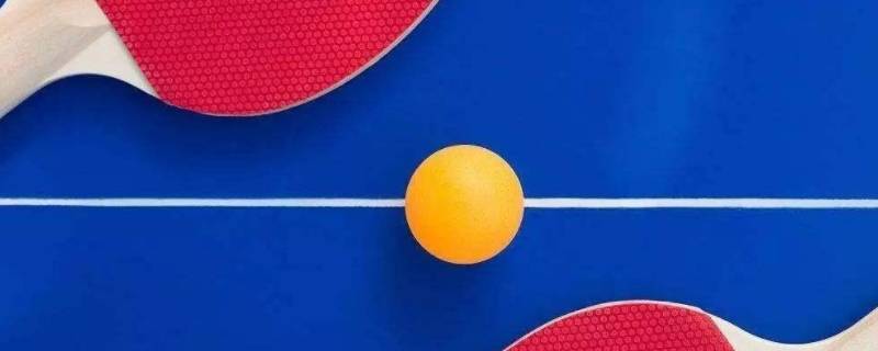 29届乒乓球锦标赛是哪一年（第二十八届乒乓球锦标赛是哪年）