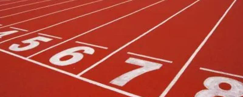 1500米预决赛什么意思(男子1500米预赛)