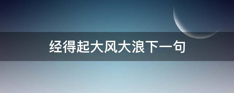 经得起大风大浪下一句（经不起大风大浪后面一句是什么）