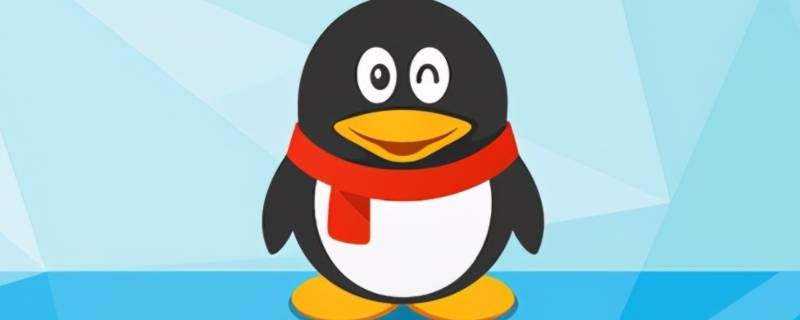 群投票QQ怎么弄（QQ群群投票怎么弄）