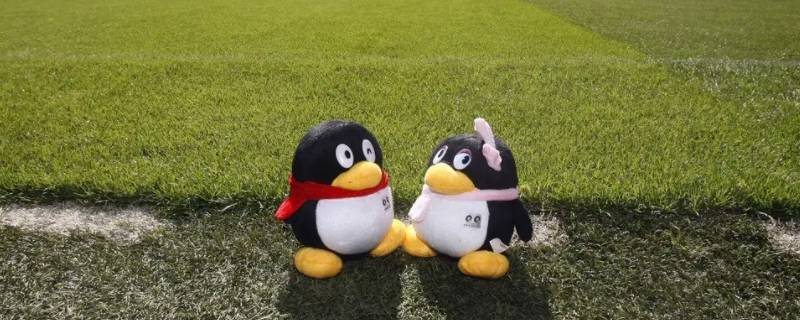 成长守护平台qq公众号在哪里（qq如何找到成长守护平台公众号）