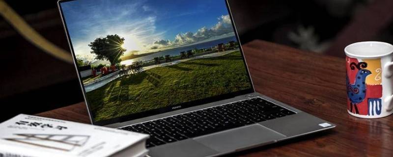 wps文字表格调不动 wps文字表格调不动怎么处理