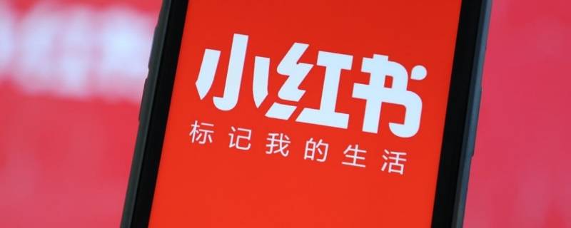 小红书怎么去水印保存视频 小红书的视频怎么去水印保存下来