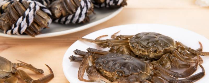 活蟹怎么处理和清洗（活蟹怎么处理和清洗视频）