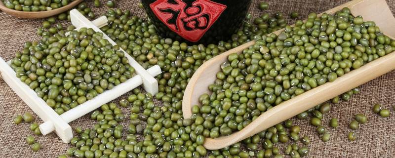 绿豆煮多久 绿豆煮多久解毒效果好