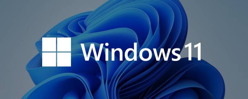 win11预览版怎么升级正式版（win11预览版怎么升级正式版区别）