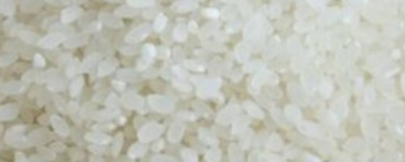 米中虫子如何除掉(米中有虫子怎么去除)