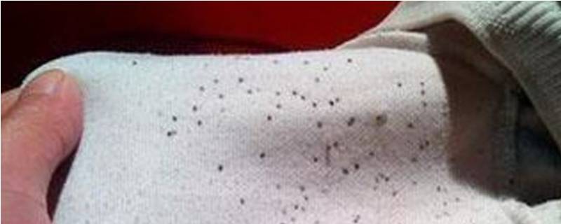 霉点衣服怎么洗干净 怎么清洗霉点衣服