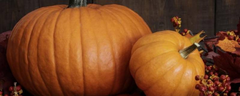 微波炉蒸南瓜要几分钟（微波炉蒸小南瓜要多长时间）