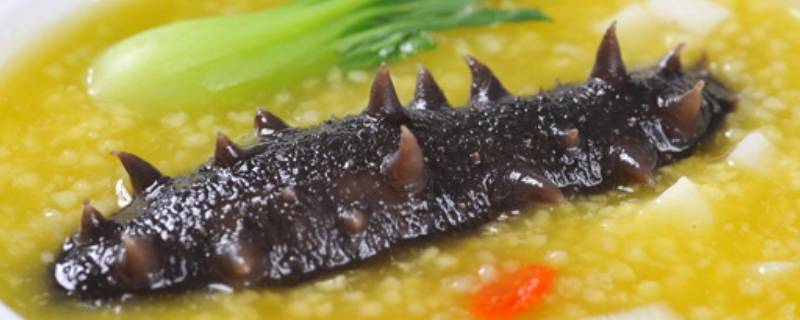 海参怎么做好吃又有营养（海参怎么做好吃又有营养,简单）