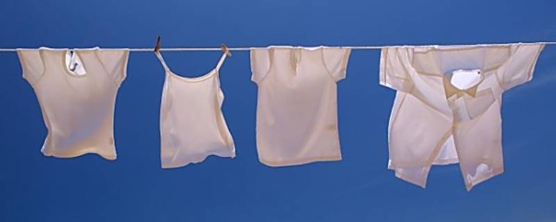 衣服霉斑怎么洗掉小妙招（衣服有霉斑怎么清洗妙招）