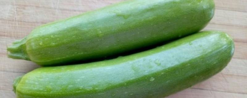 茭瓜怎么做菜好吃（角瓜怎么做好吃）