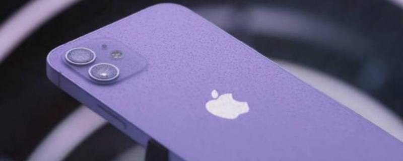 苹果怎么共享密码（苹果怎么共享密码wifi）