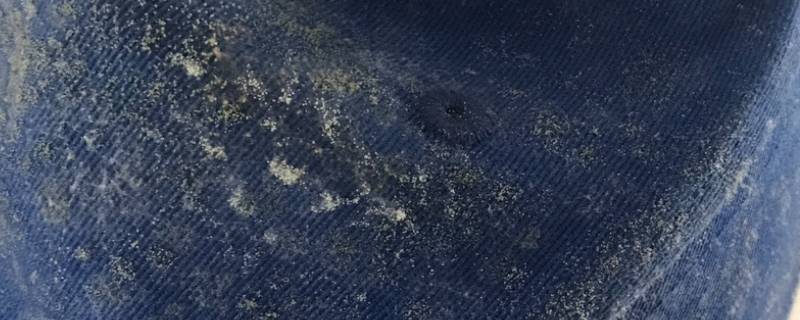 帽子发霉了怎么洗干净（帽子发霉了用什么洗）