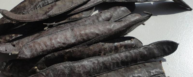 皂角如何熬制洗发水 皂角制作洗发水