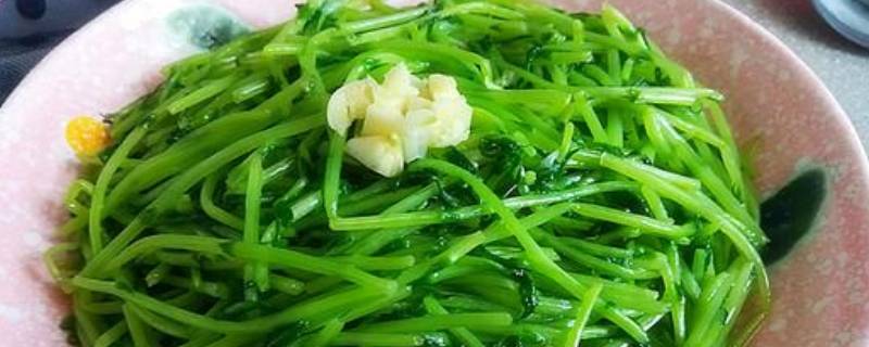 柳蒿芽怎么做好吃 晒干的柳蒿芽怎么做好吃