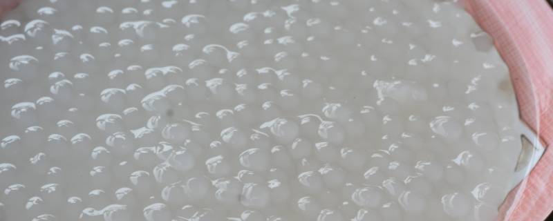 西米煮不透明怎么补救 西米煮不到透明