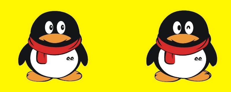 qq信誉分在哪里查看（怎么查看QQ信誉）