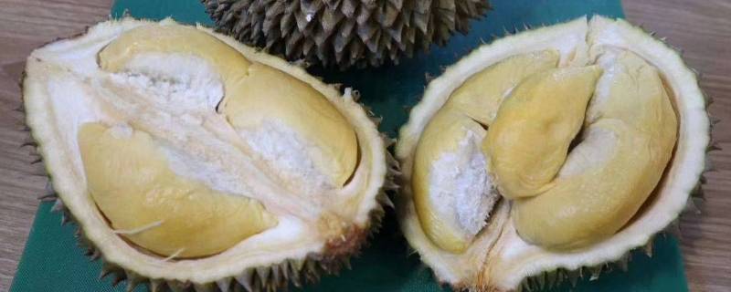死肉榴莲怎么补救 吃不完的榴莲肉怎么处理