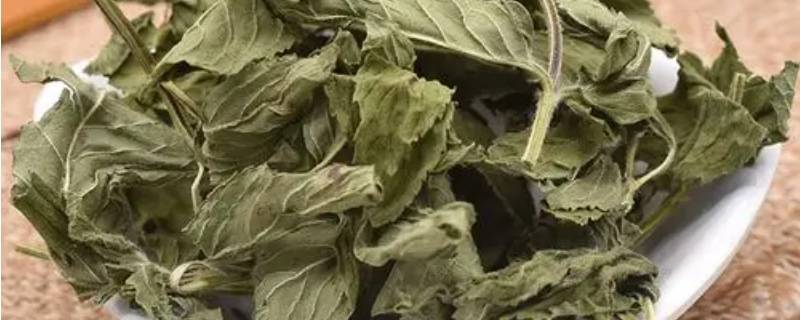 干薄荷叶怎么泡水 干薄荷叶用什么水泡