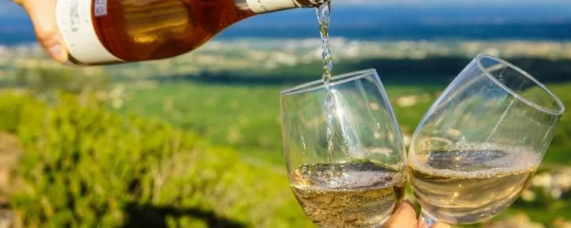 酿造葡萄酒的流程 酒庄酿葡萄酒的流程