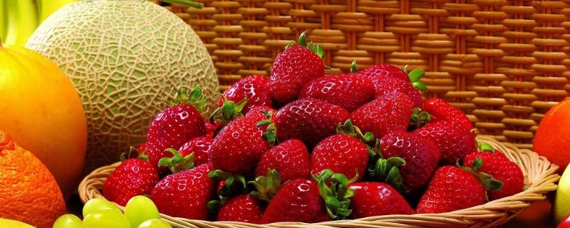 水果生的小飞虫怎样处理 水果生的小飞虫怎么办