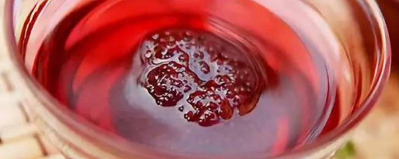 如何酿杨梅酒（怎样酿制杨梅酒）