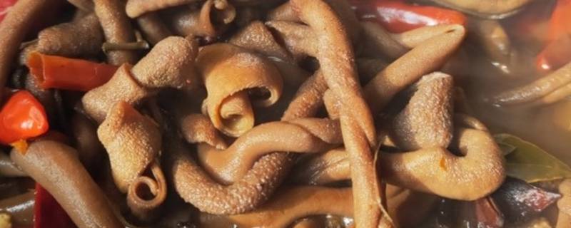 鸡肠怎么吃 鸡肠怎么吃治疗尿频?