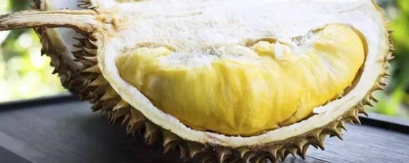 榴莲炖汤怎么炖 榴莲炖排骨汤怎么炖