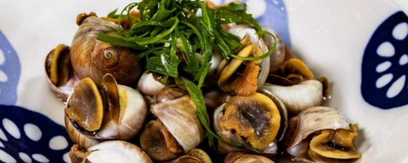 香螺怎么吃法（香螺怎么做好吃窍门）