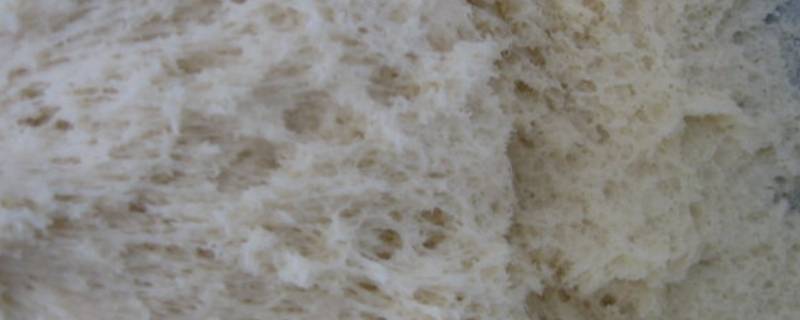 老面怎么制作 老面怎么制作和保存